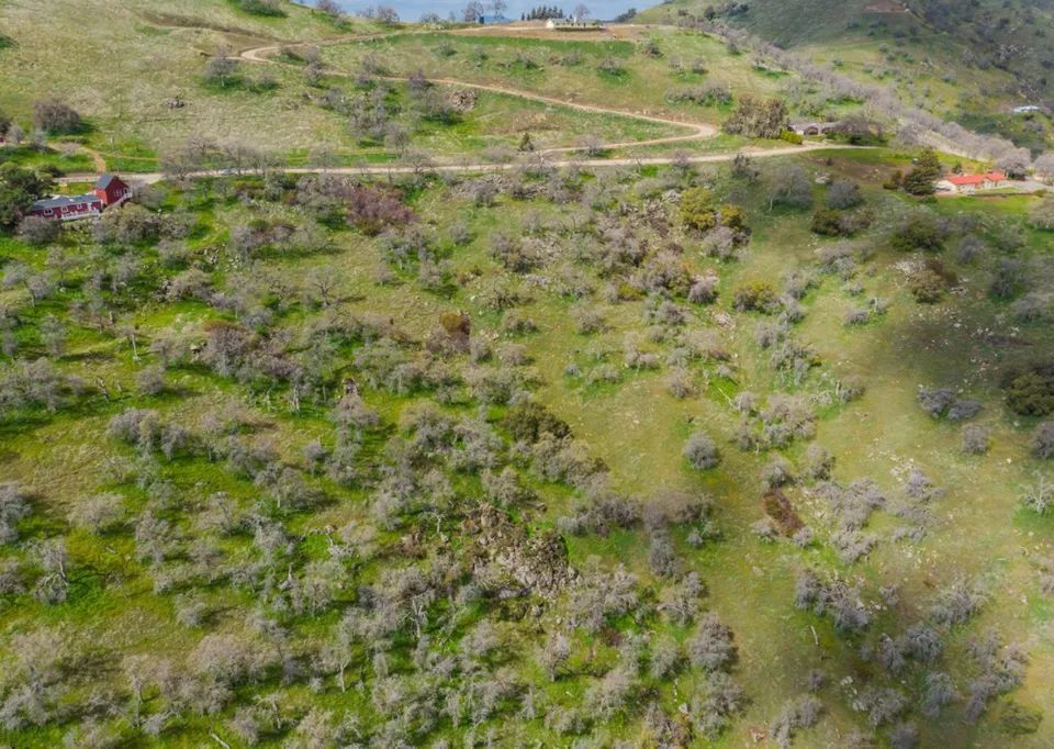 4.6 Acres of Scenic Land in Squaw Valley, CA - Image 4