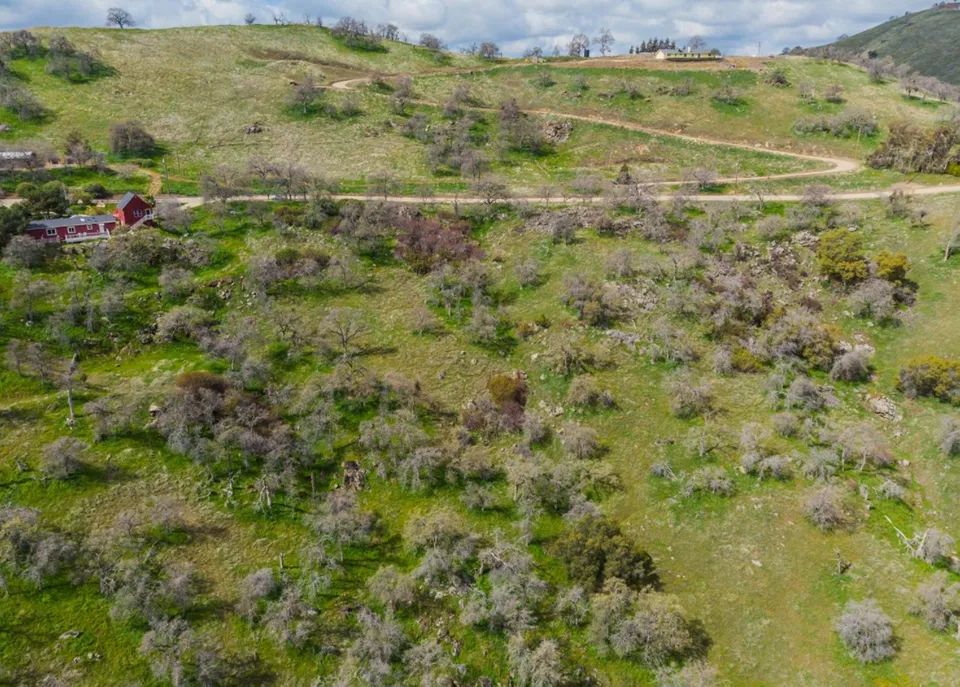 Decorative background for 4.6 Acres of Scenic Land in Squaw Valley, CA image 5