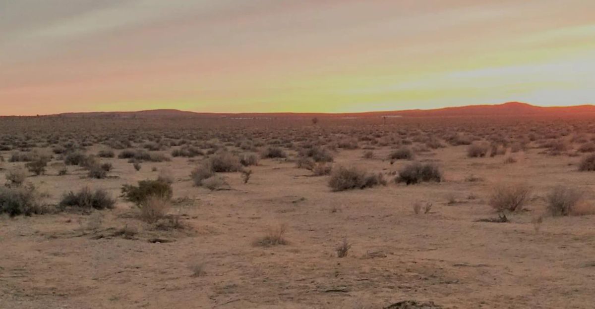5 Scenic Acres For Sale In Adelanto, CA - Image 4