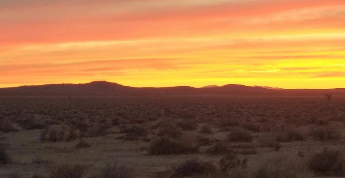 Decorative background for 5 Scenic Acres For Sale In Adelanto, CA image 5