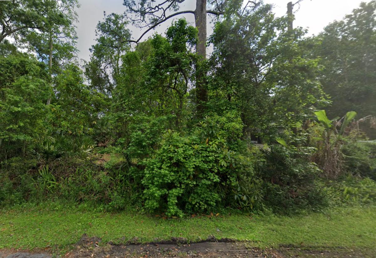 Vacant Residential Lot near St. John’s River in Astor, FL - Main image