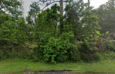 Vacant Residential Lot near St. John’s River in Astor, FL