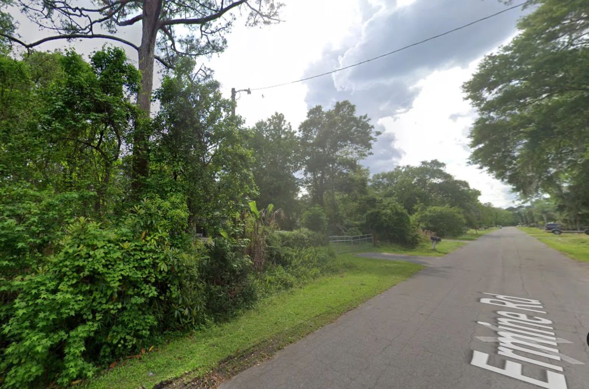Vacant Residential Lot near St. John’s River in Astor, FL - Image 2