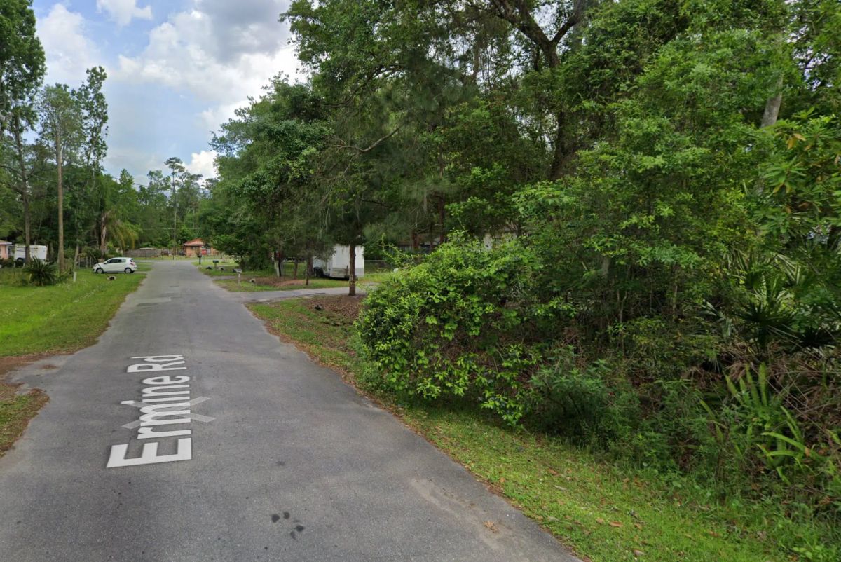 Vacant Residential Lot near St. John’s River in Astor, FL - Image 3