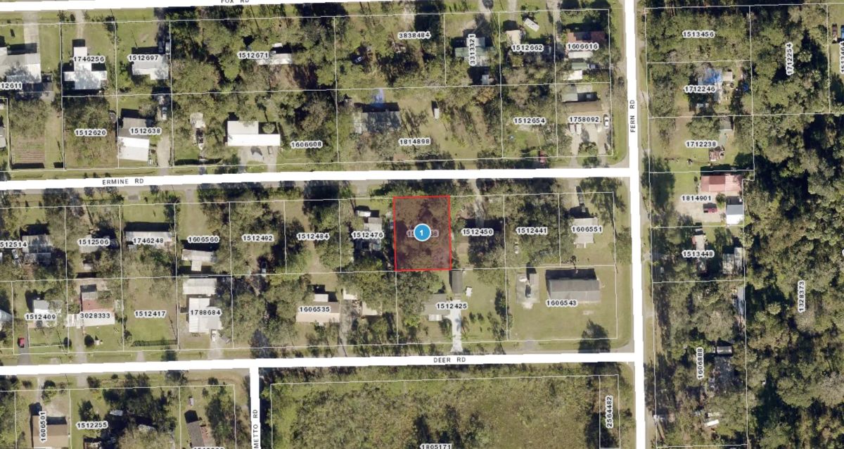Decorative background for Vacant Residential Lot near St. John’s River in Astor, FL image 6