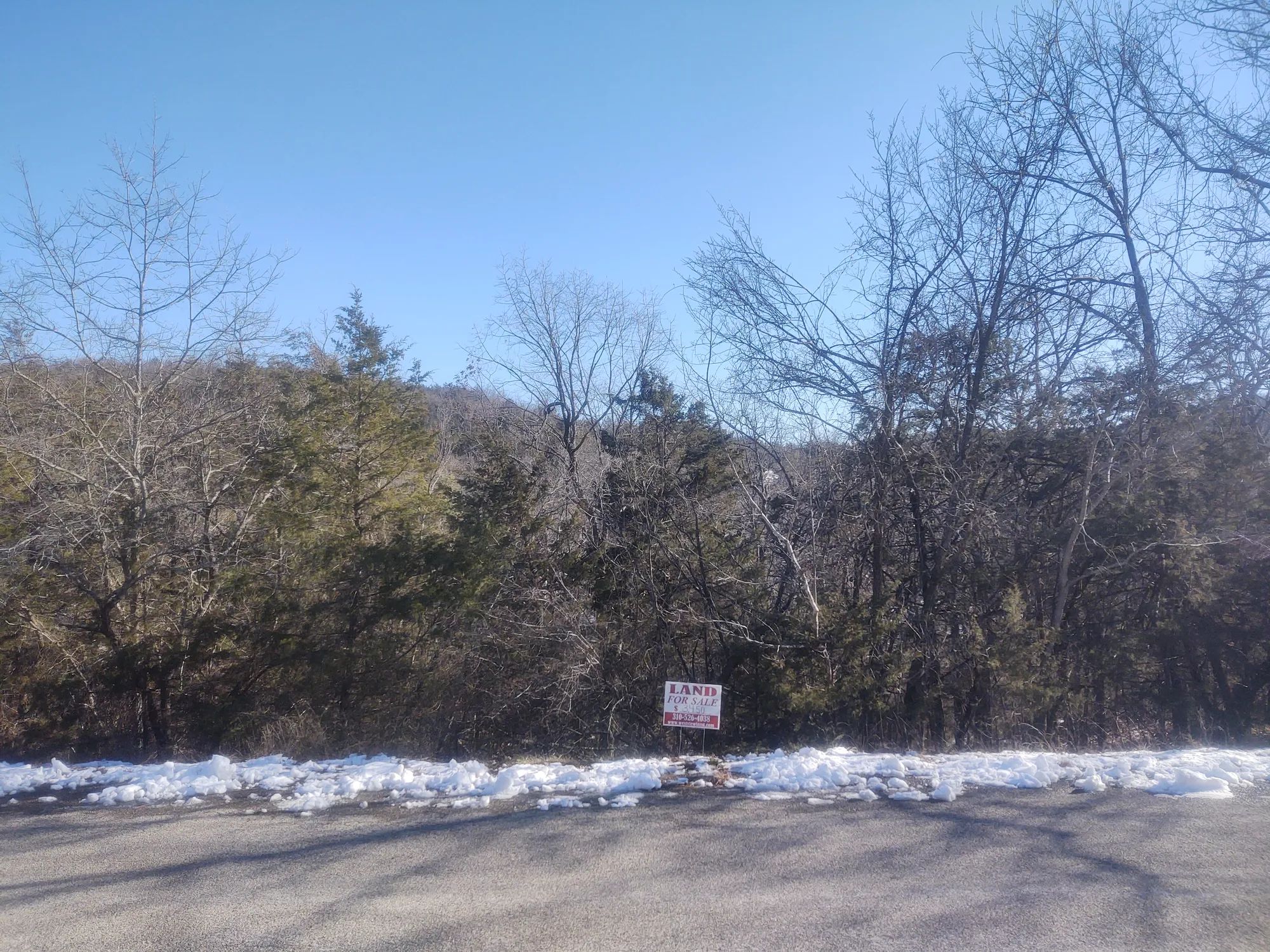 .22 Acres For Sale In Eureka Springs, AR