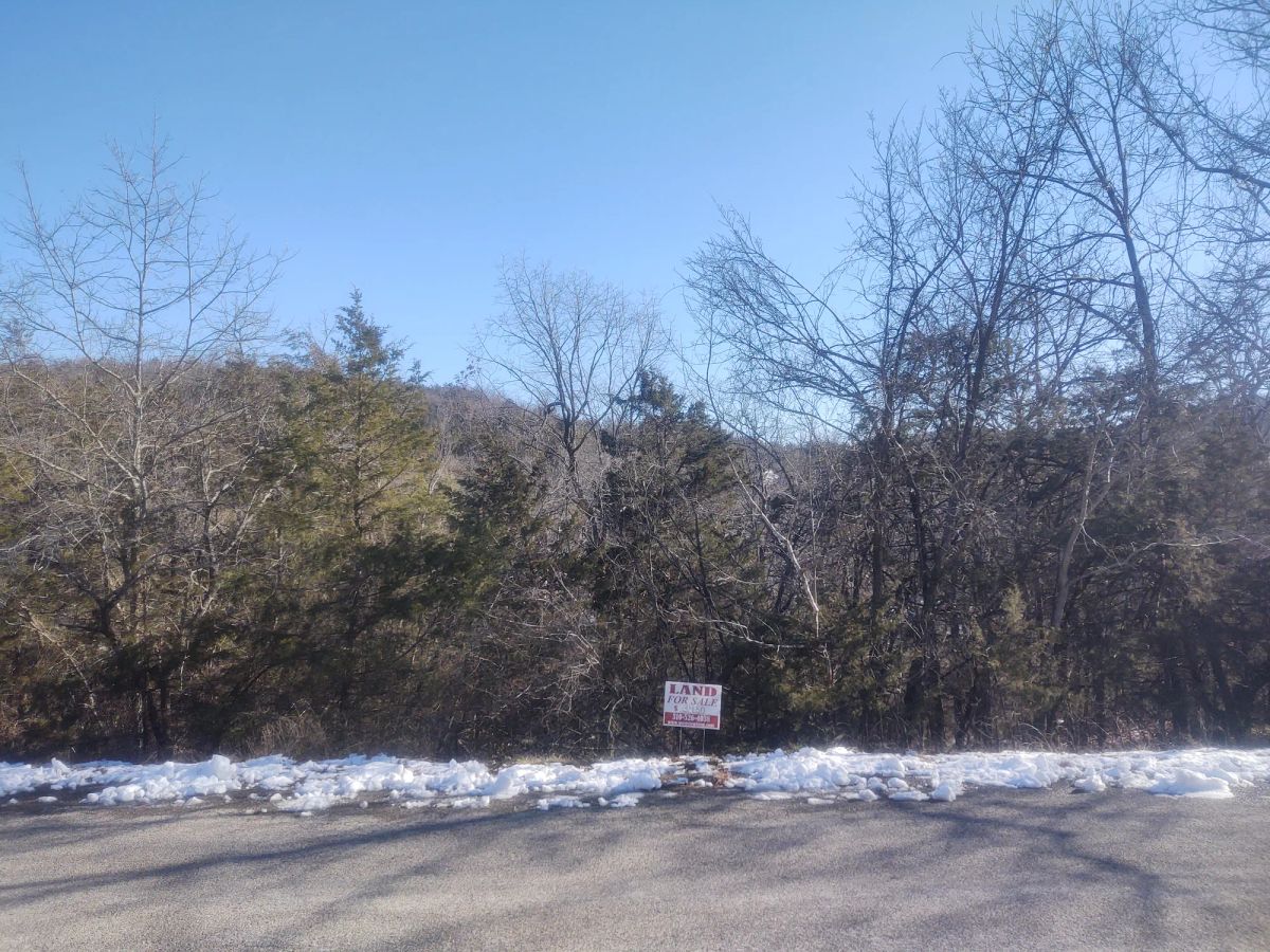 .22 Acres For Sale In Eureka Springs, AR - Main image