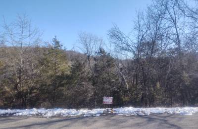 .22 Acres For Sale In Eureka Springs, AR