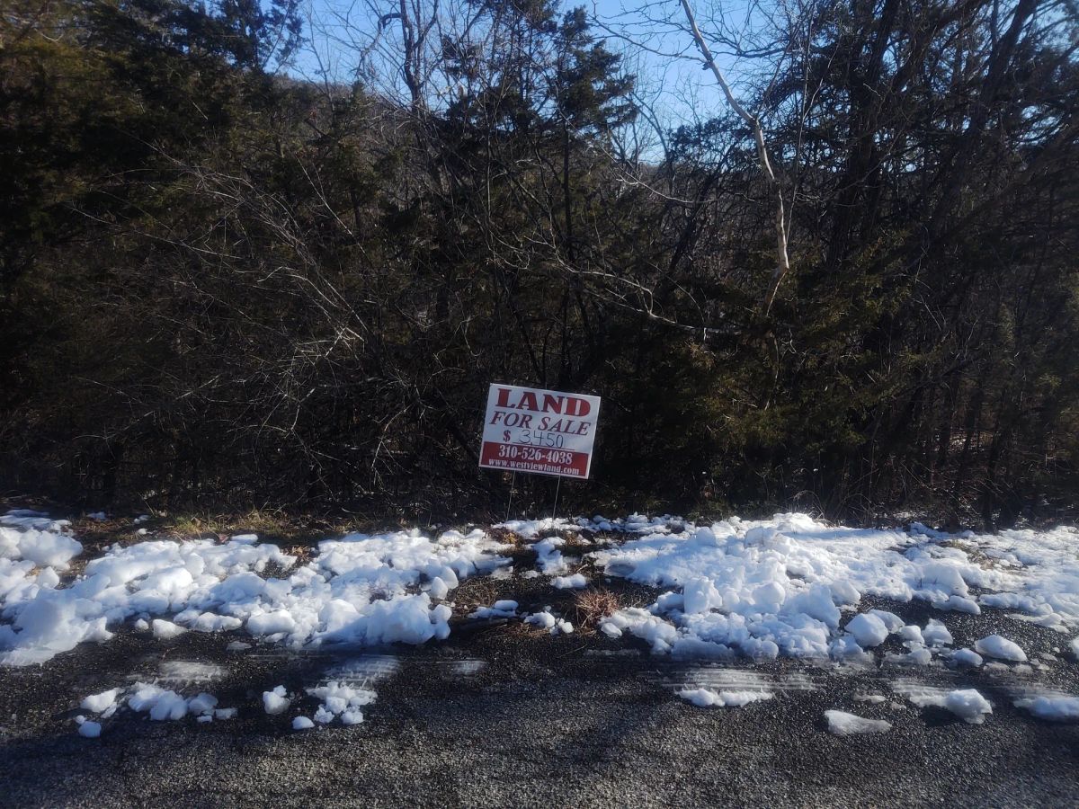 .22 Acres For Sale In Eureka Springs, AR - Image 2