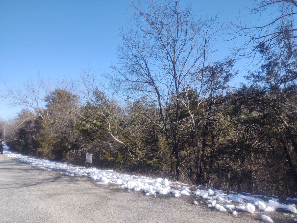 .22 Acres For Sale In Eureka Springs, AR - Image 4