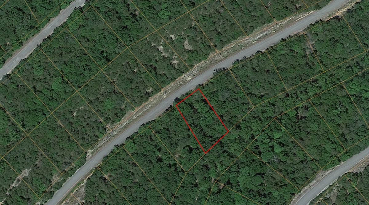 Decorative background for .22 Acres For Sale In Eureka Springs, AR image 5