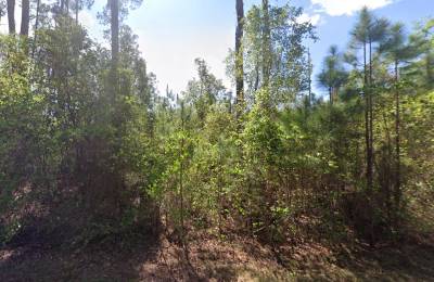 Level, Residential Lot near Lake George, FL