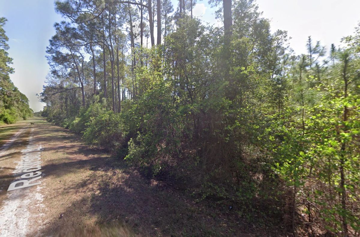 Level, Residential Lot near Lake George, FL - Image 2