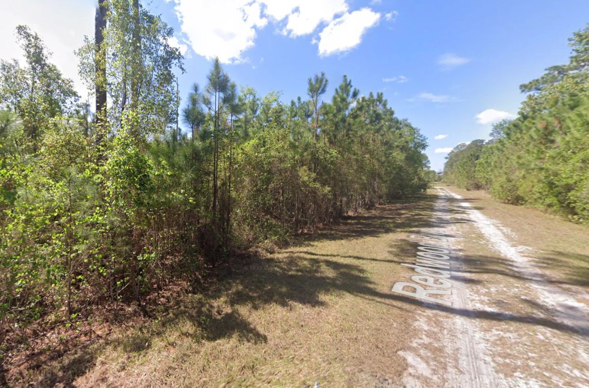 Level, Residential Lot near Lake George, FL - Image 3