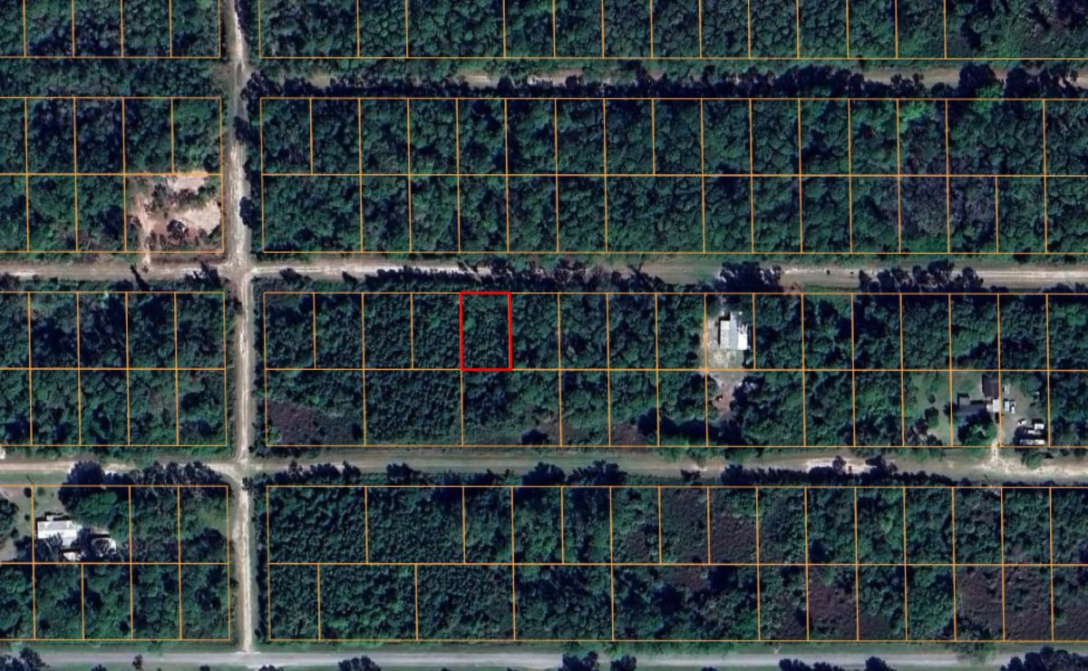 Level, Residential Lot near Lake George, FL - Image 4
