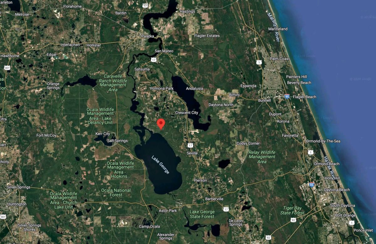 Decorative background for Level, Residential Lot near Lake George, FL image 5