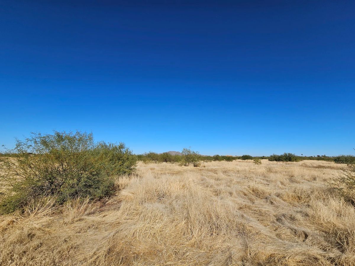 Decorative background for Level, Undeveloped Lot in Arizona City image 18