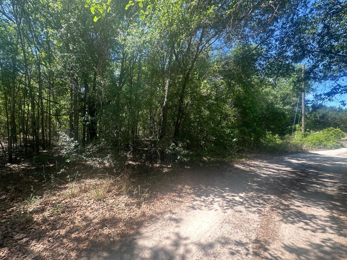 Vacant Two-Family Residential Lot in Ocala, FL - Main image