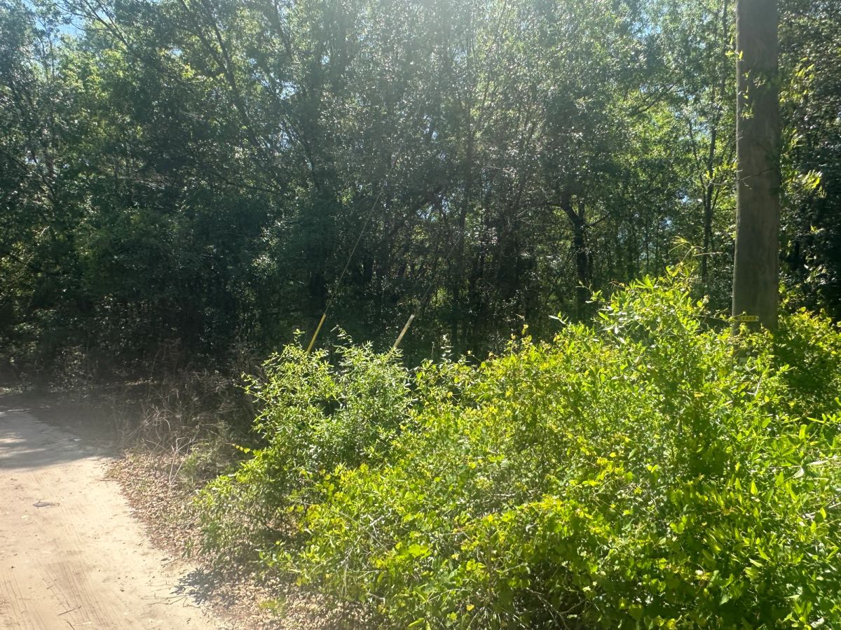 Vacant Two-Family Residential Lot in Ocala, FL - Image 2