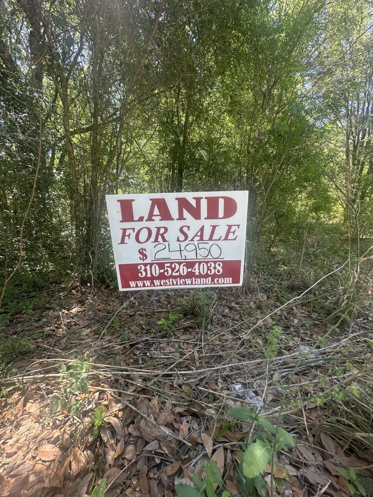 Vacant Two-Family Residential Lot in Ocala, FL - Image 3