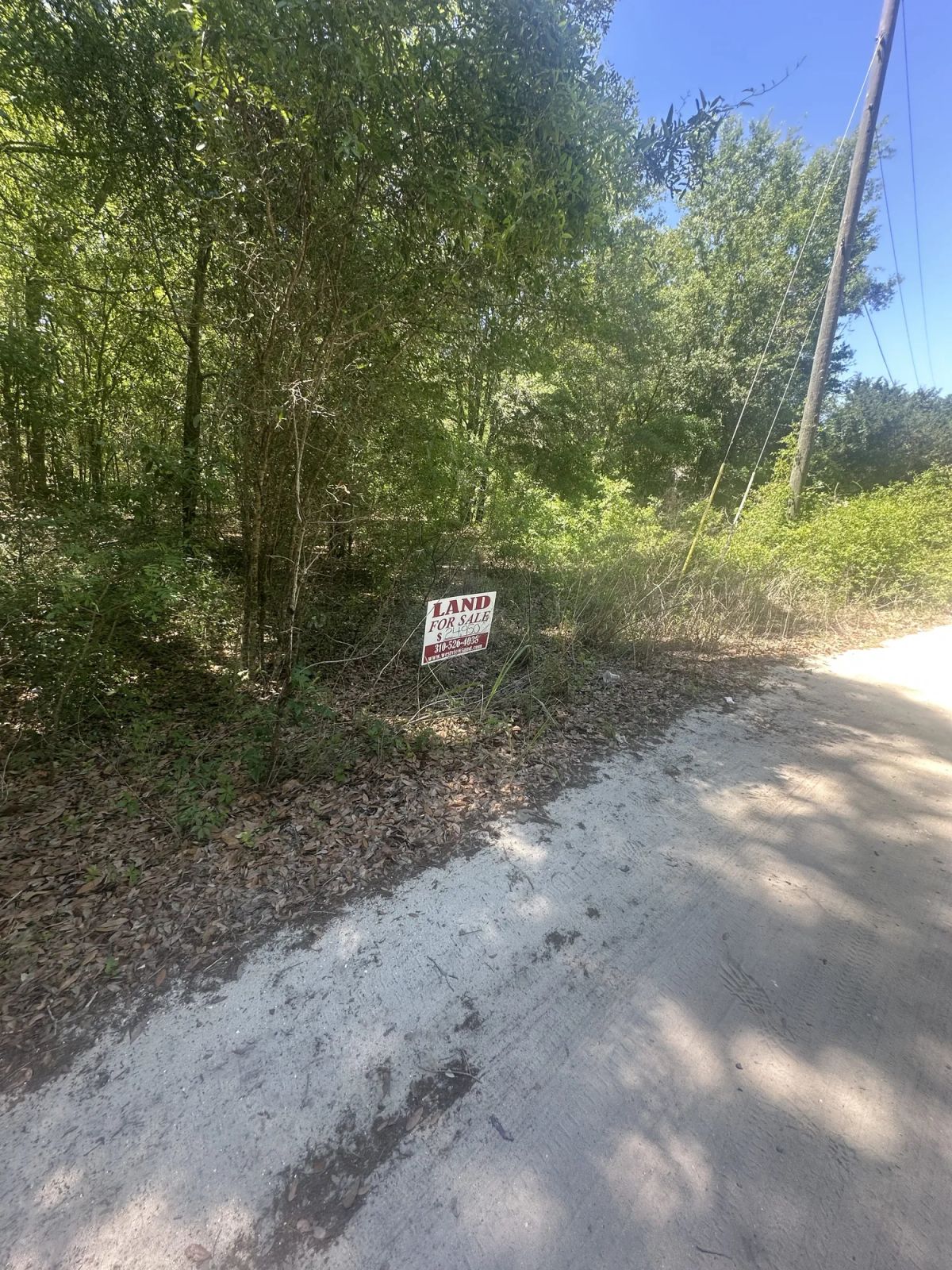 Decorative background for Vacant Two-Family Residential Lot in Ocala, FL image 5