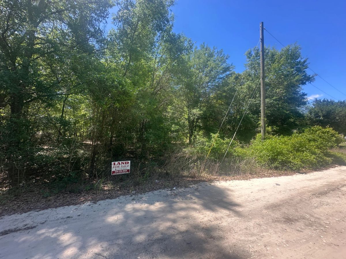 Decorative background for Vacant Two-Family Residential Lot in Ocala, FL image 7