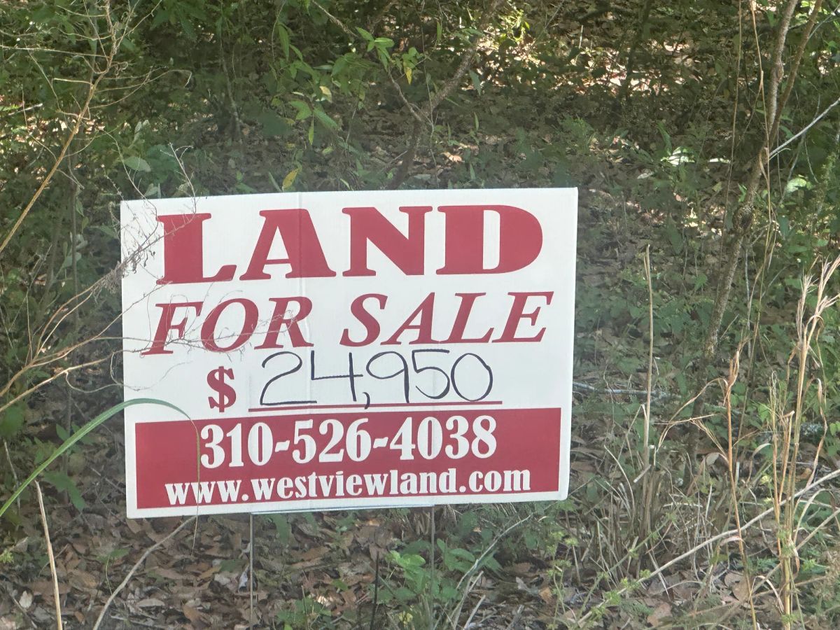 Decorative background for Vacant Two-Family Residential Lot in Ocala, FL image 8
