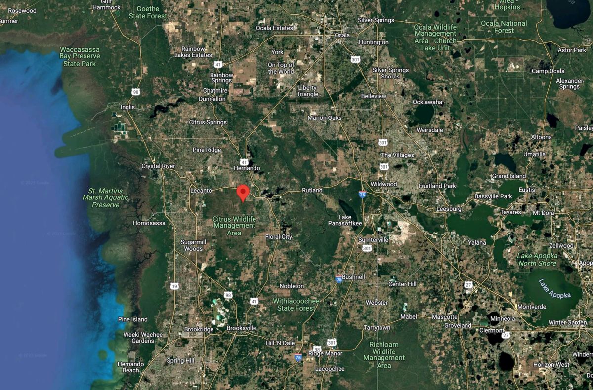 Decorative background for Residential Lot for Mobile Homes in Inverness, FL image 5