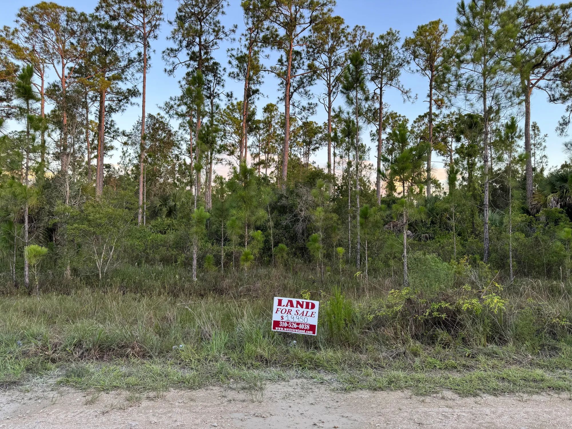 Nearly Half an Acre near Lehigh Acres