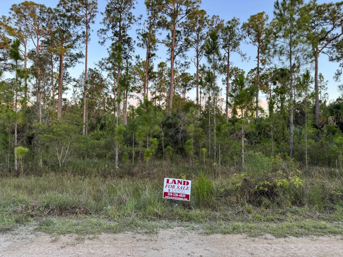 Nearly Half an Acre near Lehigh Acres - Main image