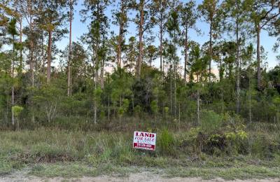 Nearly Half an Acre near Lehigh Acres
