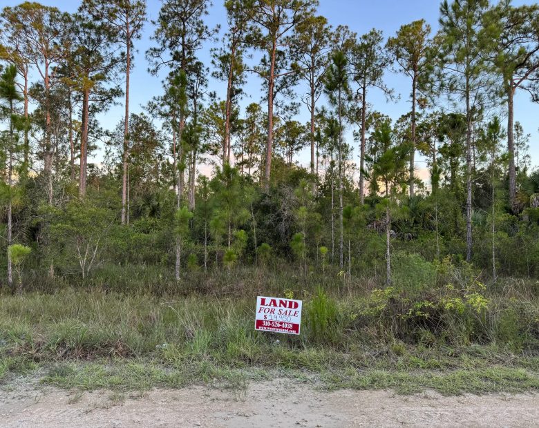 Nearly Half an Acre near Lehigh Acres in Lee County, FL