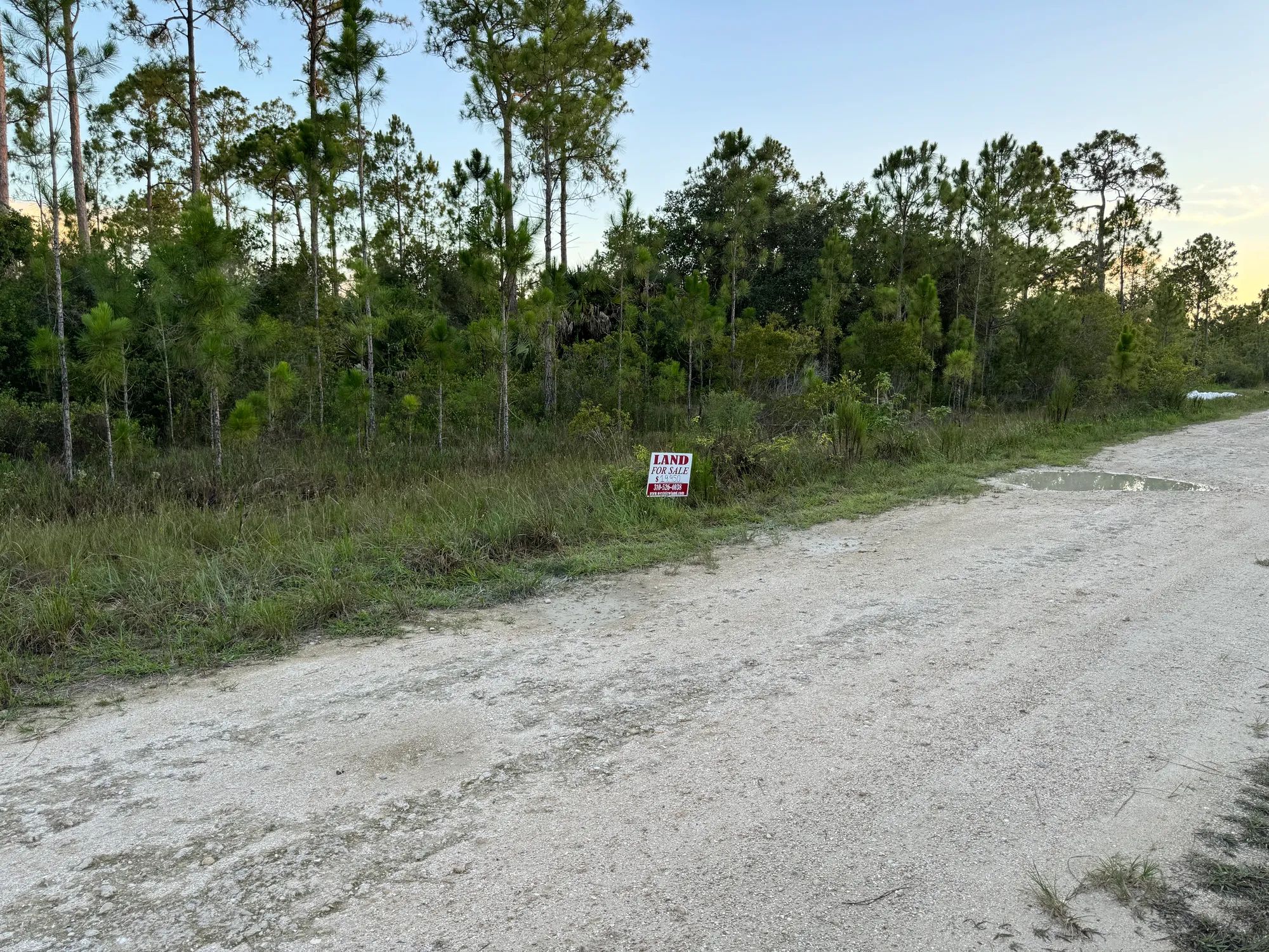 Nearly Half an Acre near Lehigh Acres in Lee County, FL