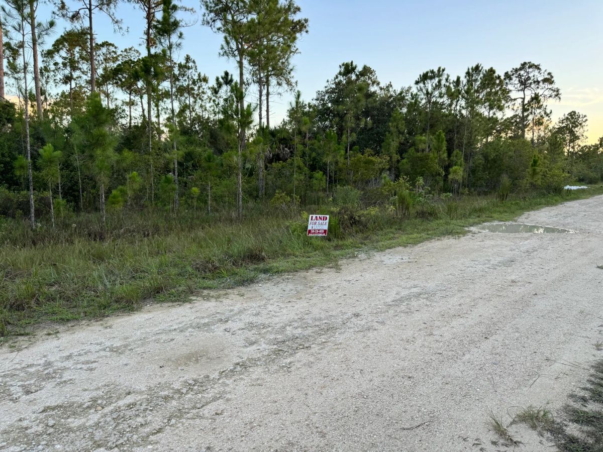 Nearly Half an Acre near Lehigh Acres - Image 3