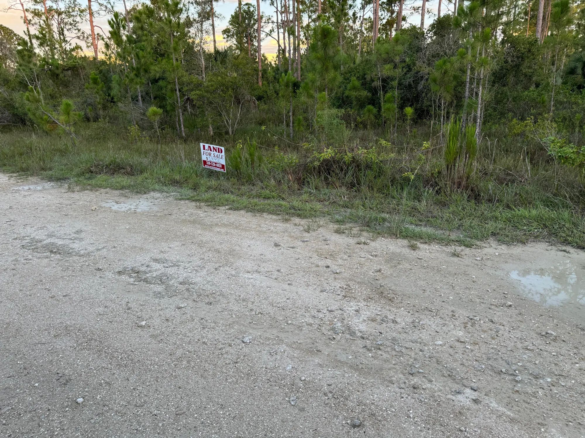 Nearly Half an Acre near Lehigh Acres in Lee County, FL