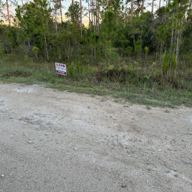 Nearly Half an Acre near Lehigh Acres in Lee County, FL