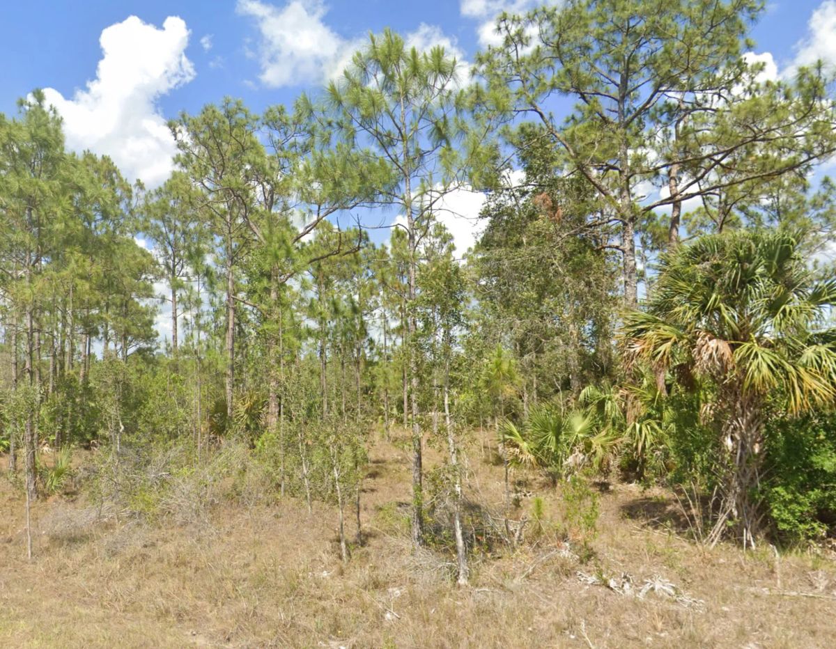 Decorative background for Nearly Half an Acre near Lehigh Acres image 8