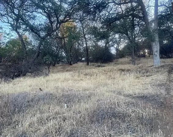 Decorative background for 7,169 Sq Ft Residential Lot Right By Clear Lake image 5