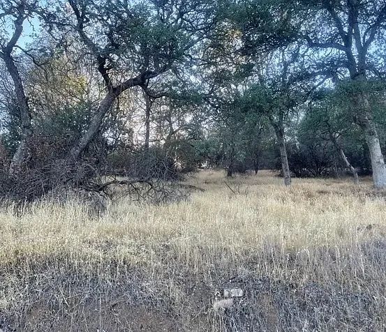 Decorative background for 7,169 Sq Ft Residential Lot Right By Clear Lake image 6