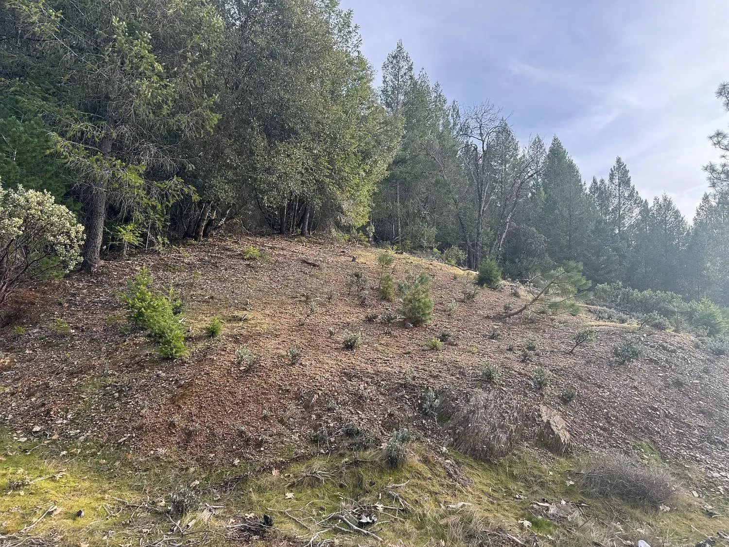 Over 8 Agricultural Acres of Vacant Land in Grass Valley, CA
