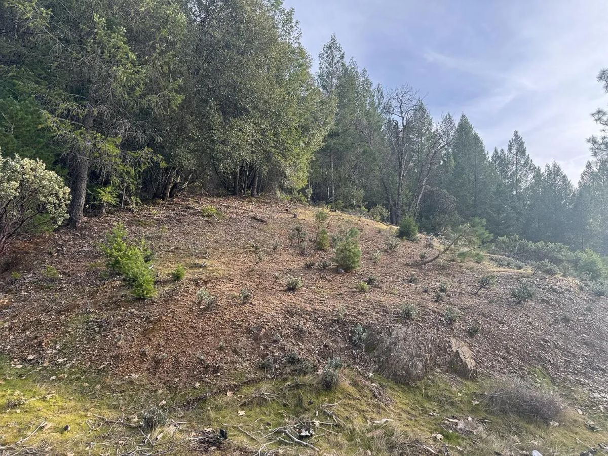Over 8 Agricultural Acres of Vacant Land in Grass Valley, CA - Main image