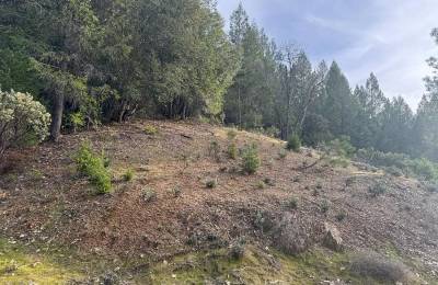 Over 8 Agricultural Acres of Vacant Land in Grass Valley, CA