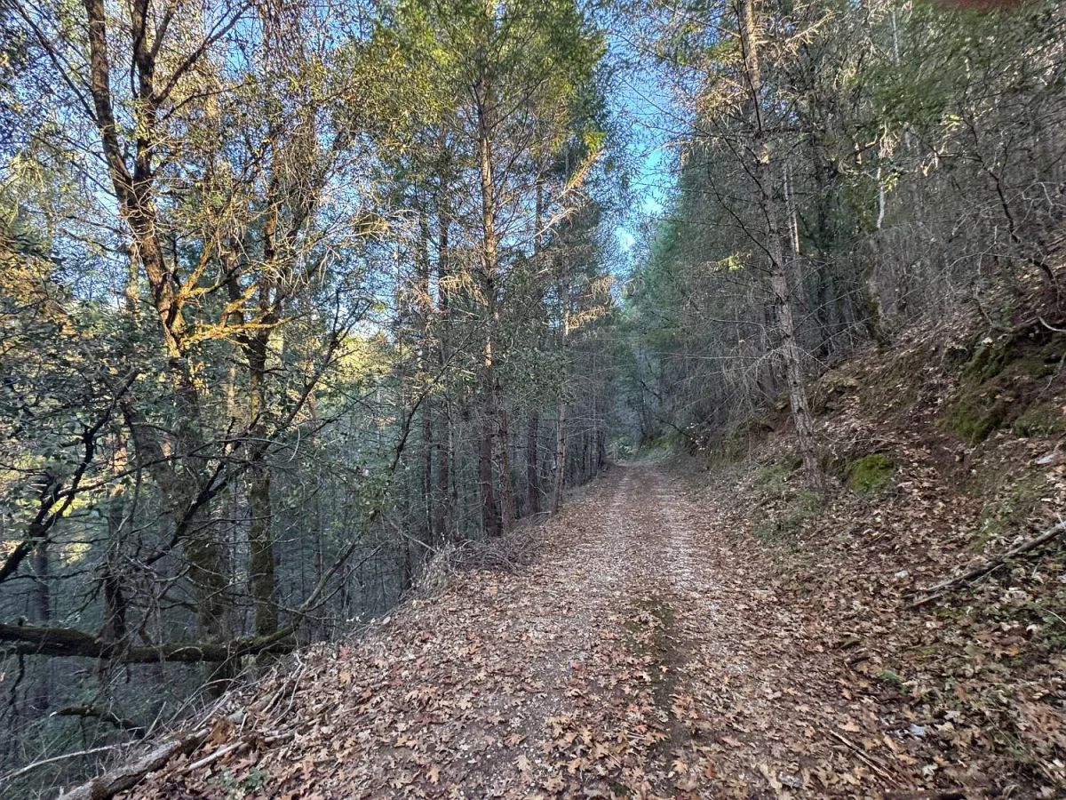 Over 8 Agricultural Acres of Vacant Land in Grass Valley, CA - Image 2