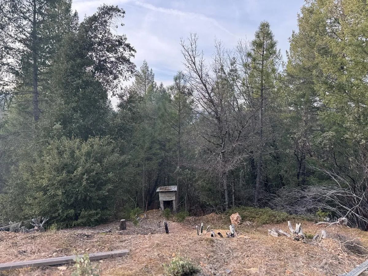 Over 8 Agricultural Acres of Vacant Land in Grass Valley, CA - Image 3