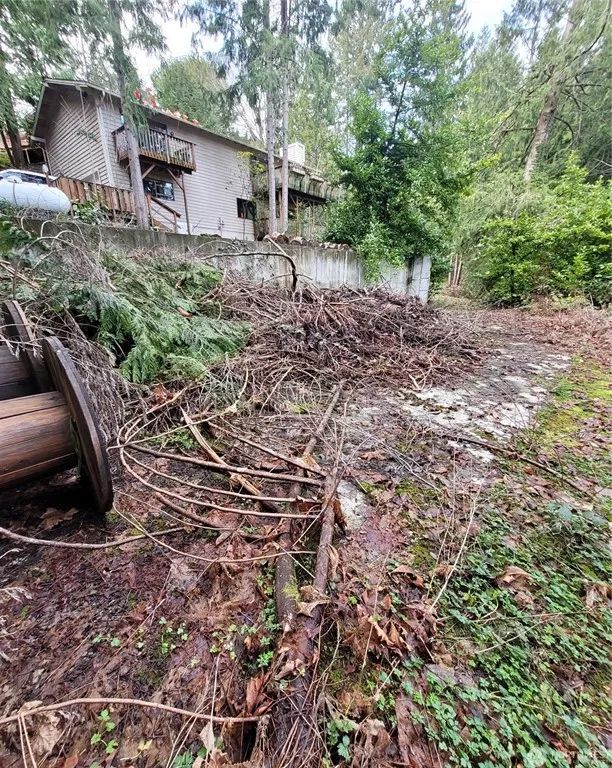 Decorative background for Bremerton, WA Property with Previous Structure image 7
