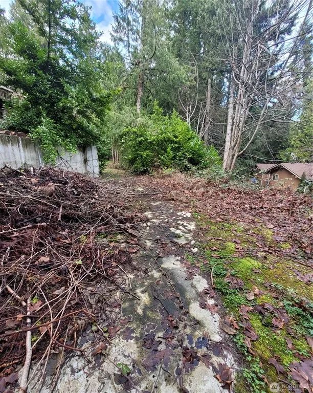 Decorative background for Bremerton, WA Property with Previous Structure image 8
