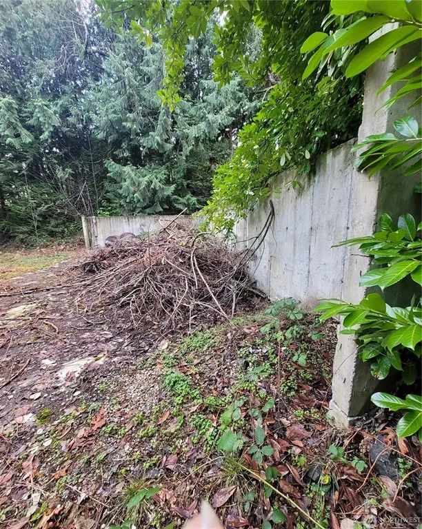 Decorative background for Bremerton, WA Property with Previous Structure image 9