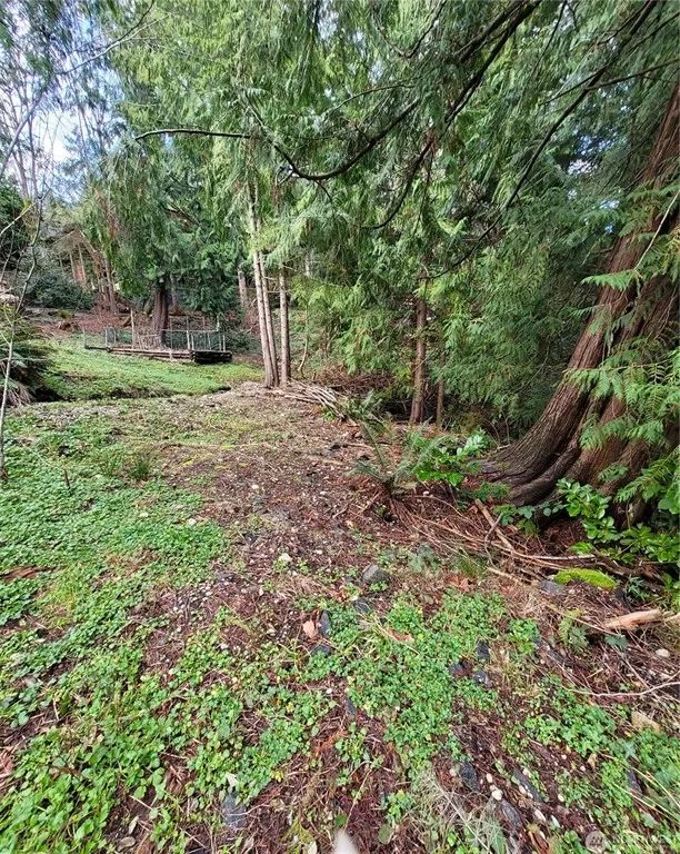 Decorative background for Bremerton, WA Property with Previous Structure image 13