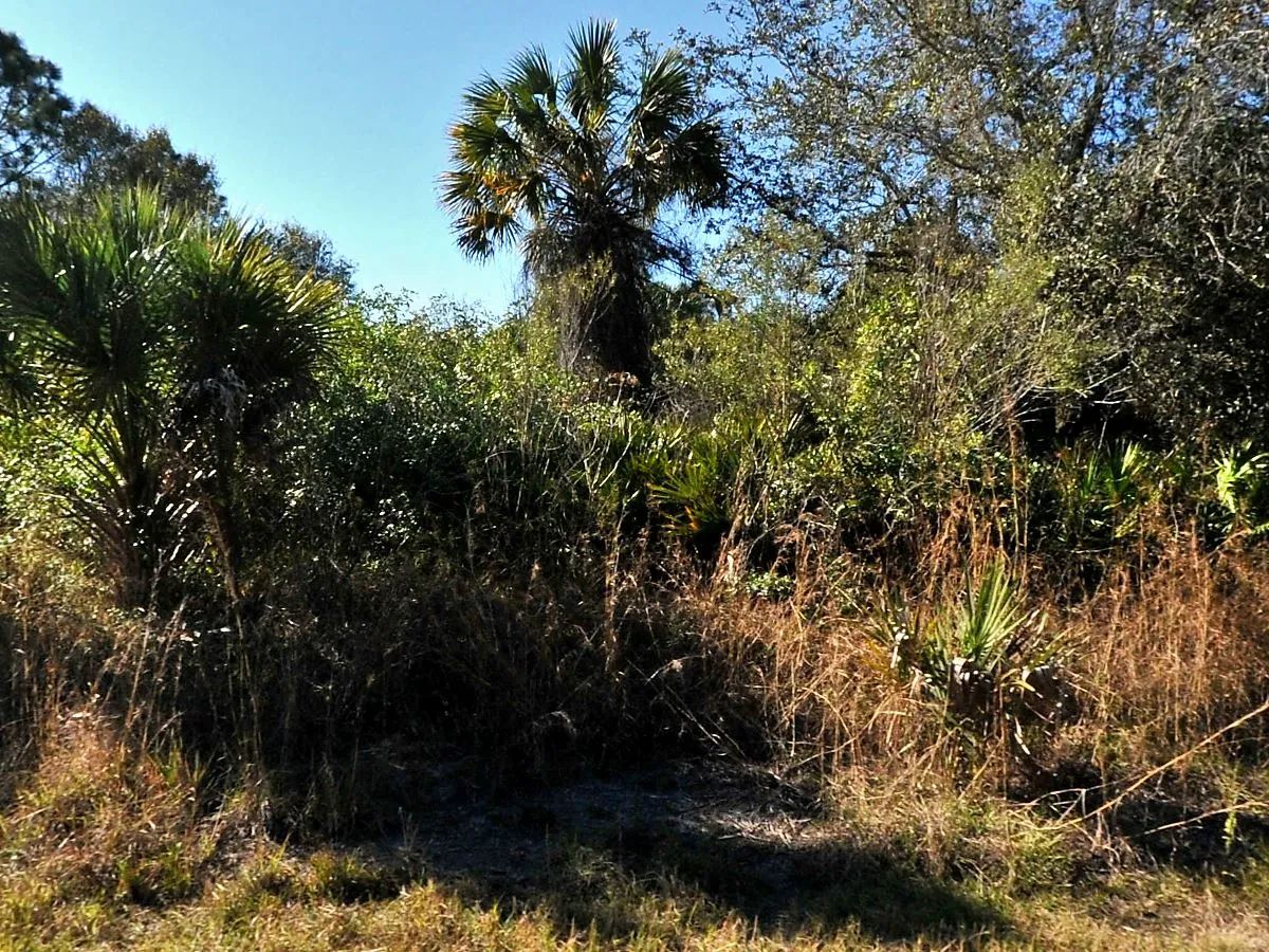 Residential, Level lot in Undeveloped North Port, FL - Main image