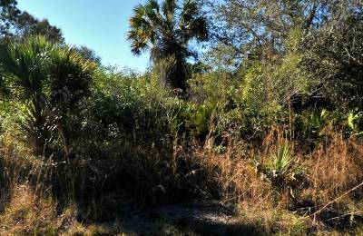 Residential, Level lot in Undeveloped North Port, FL